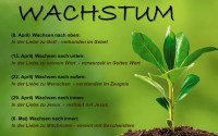 Wachstum