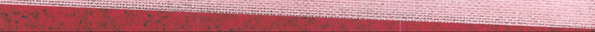 Paketaktion-bottomdeko-e1605294493272.png